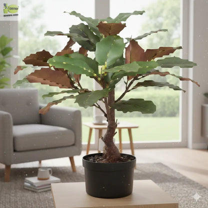 ENUTROF Artificial Rubber Plant Ficus Elastica – 60cm Compact Fake Plant for Desk & Home Decor ENUTROF