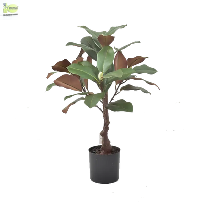 ENUTROF Artificial Rubber Plant Ficus Elastica – 60cm Compact Fake Plant for Desk & Home Decor ENUTROF
