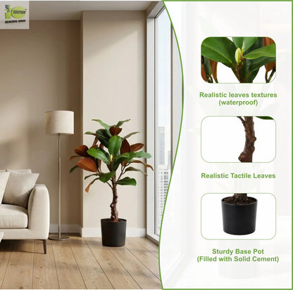 ENUTROF Artificial Rubber Plant Ficus Elastica – 60cm Compact Fake Plant for Desk & Home Decor ENUTROF