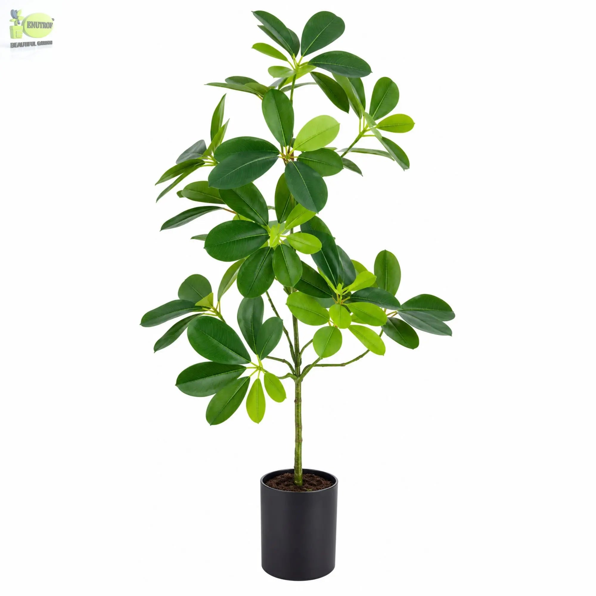 ENUTROF Artificial Small Plant 50cm – Realistic Fake Potted Plant for Desk Home Decor ENUTROF