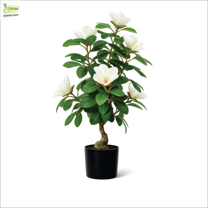 ENUTROF Artificial White Magnolia Bonsai Tree – 60cm Fake Flowering Bonsai for Home Decor ENUTROF