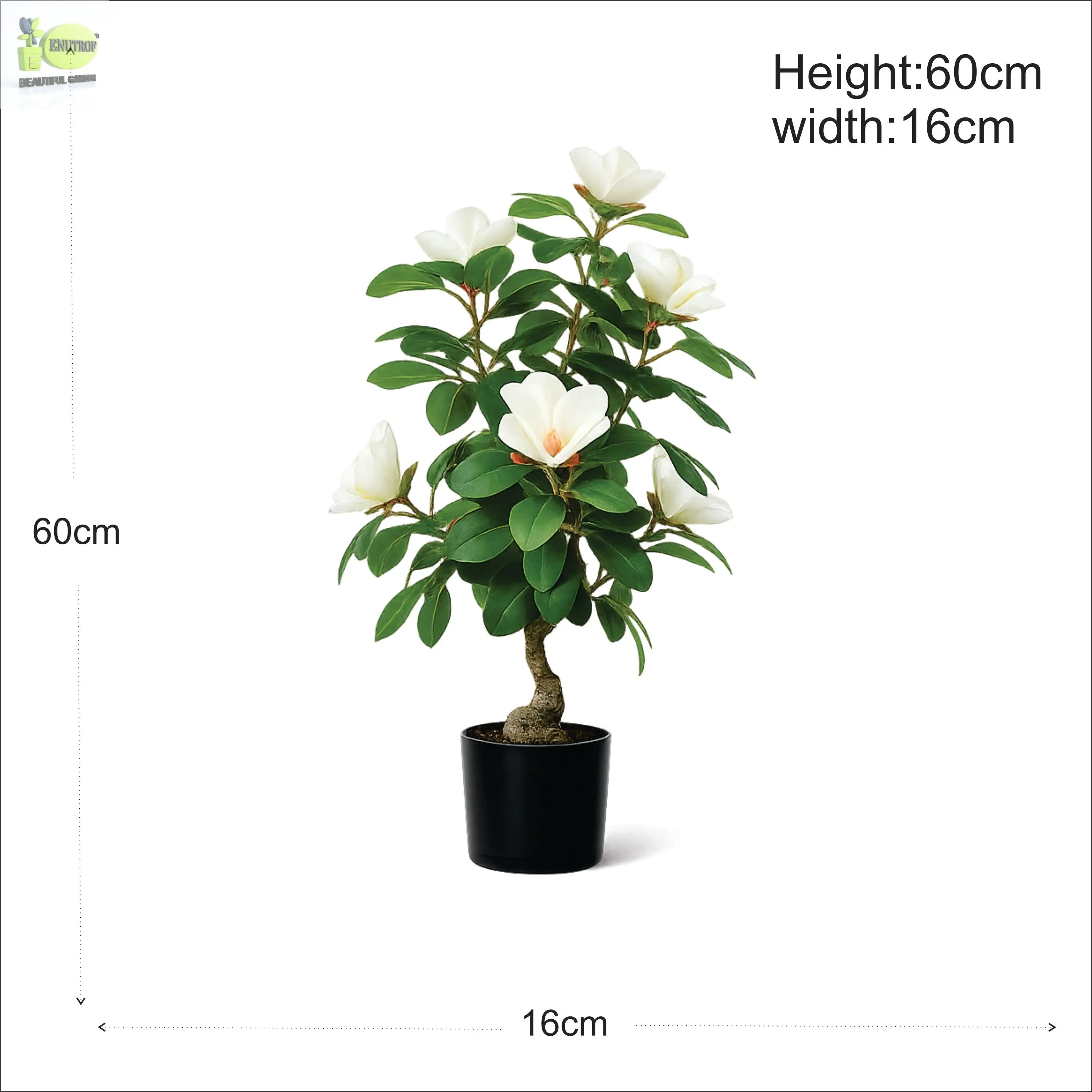 ENUTROF Artificial White Magnolia Bonsai Tree – 60cm Fake Flowering Bonsai for Home Decor ENUTROF