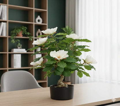 ENUTROF Artificial White Magnolia Bonsai Tree – 60cm Fake Flowering Bonsai for Home Decor ENUTROF