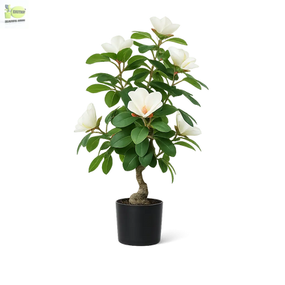 ENUTROF Artificial White Magnolia Bonsai Tree – 60cm Fake Flowering Bonsai for Home Decor ENUTROF