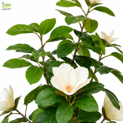 ENUTROF Artificial White Magnolia Bonsai Tree – 60cm Fake Flowering Bonsai for Home Decor ENUTROF