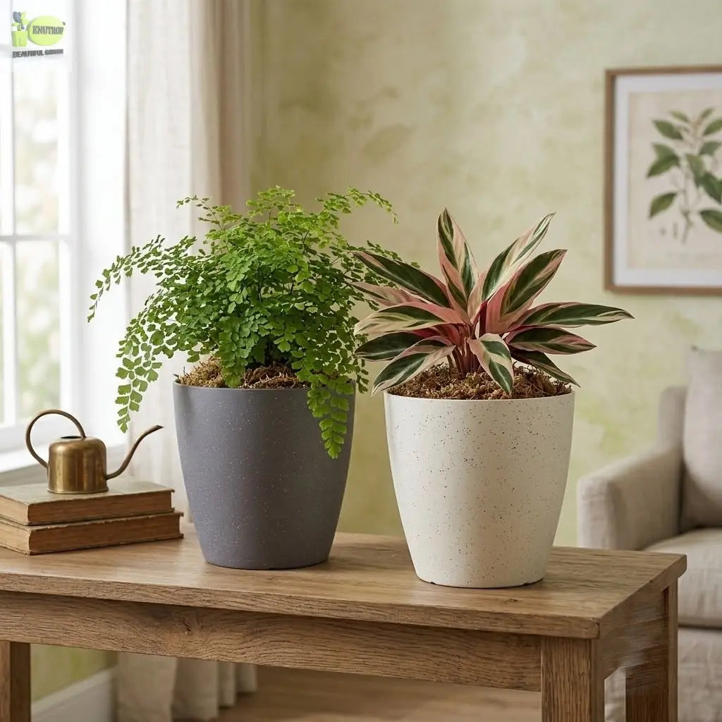 Egg Pot Planter – Modern Decorative Plant Pot Enutrof Decor