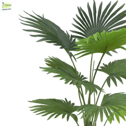 Fan Palm Artificial Plants With Basic White Pot ||120cm Height My Store