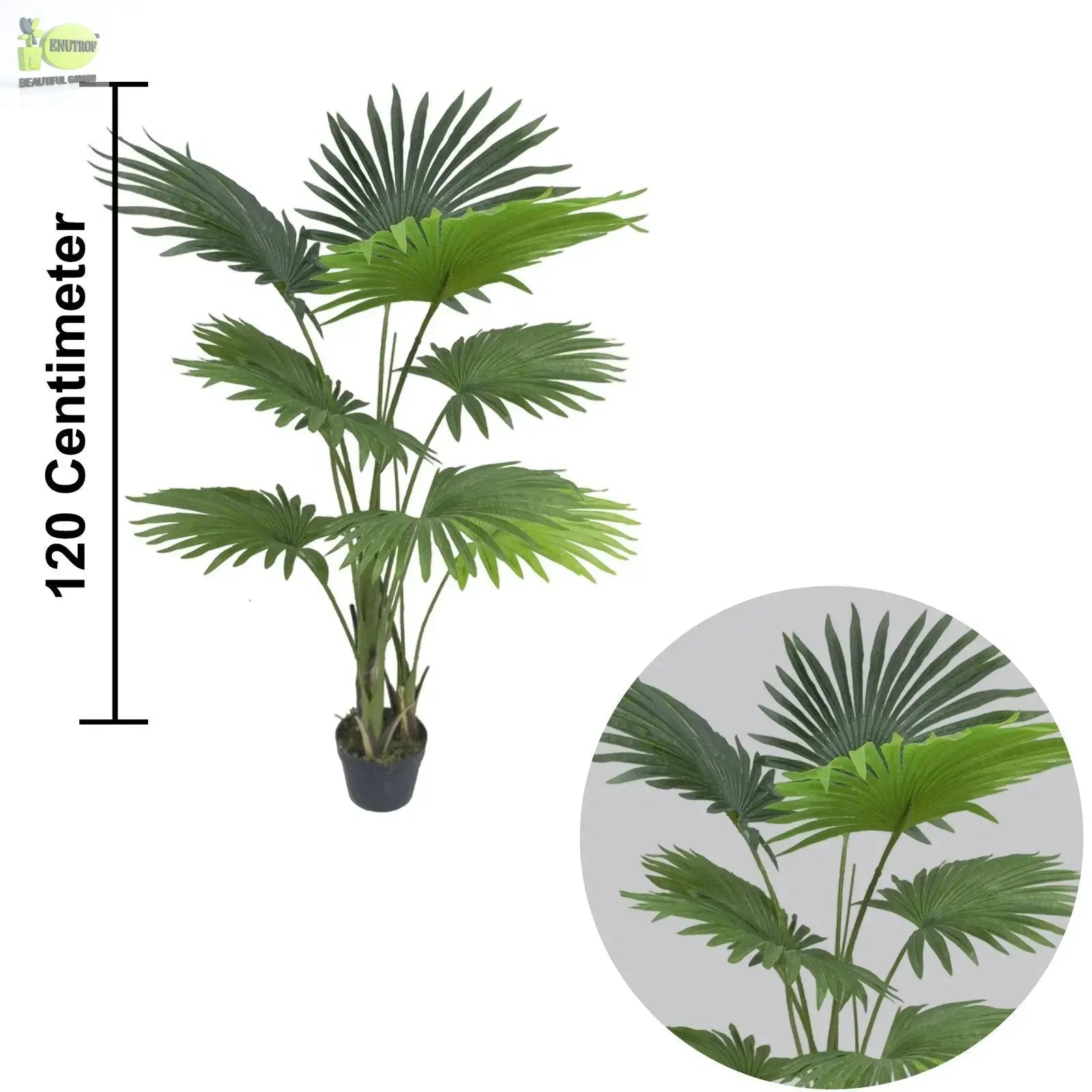 Fan Palm Artificial Plants With Basic White Pot ||120cm Height My Store