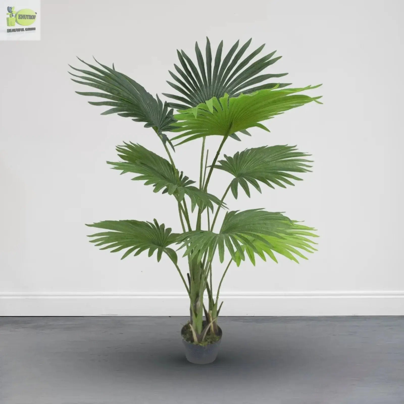 Fan Palm Artificial Plants With Basic White Pot ||120cm Height My Store