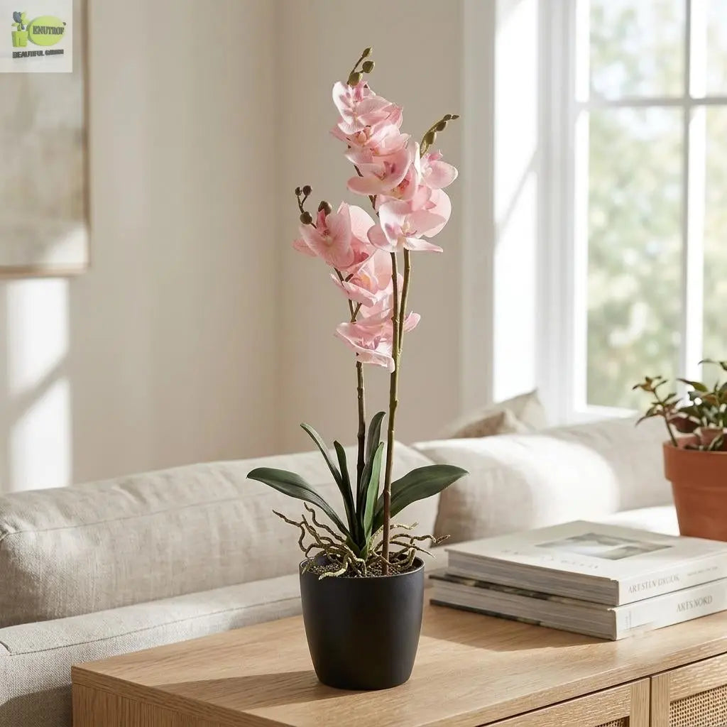 Faux Orchid Plant in Pot (50cm) | Artificial Flower Décor Enutrof Decor