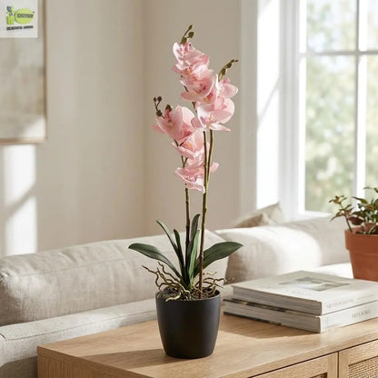 Faux Orchid Plant in Pot (50cm) | Artificial Flower Décor Enutrof Decor