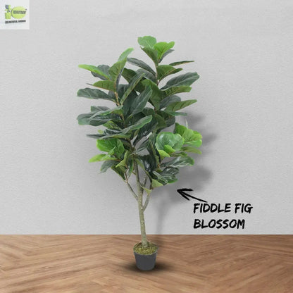 Fiddle Fig Artificial Plant With Basic Pot || 145 CM My Store