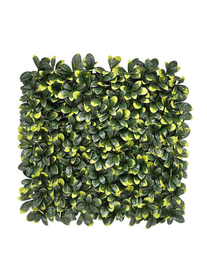 Vertical Garden Artificial Grass: Vertical Wall Garden Size: 50cm x 50cm || No:55/14