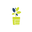 Build Your Luxurious Garden Today!!- Enutrof Decor logo