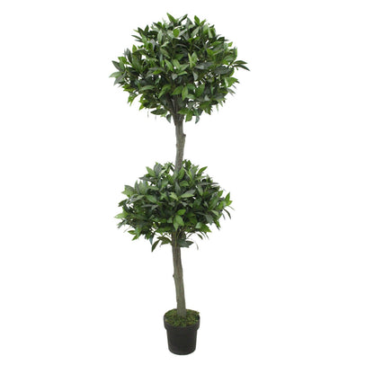 Topiary Bay Tree With Basic Black Pot