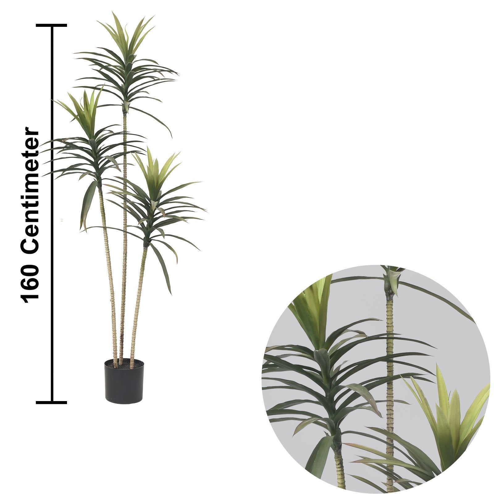 Yucca Tree(160 cm)