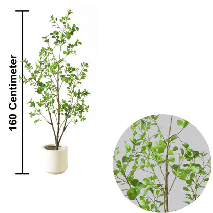 Artificial ficus tree(160 cm) My Store