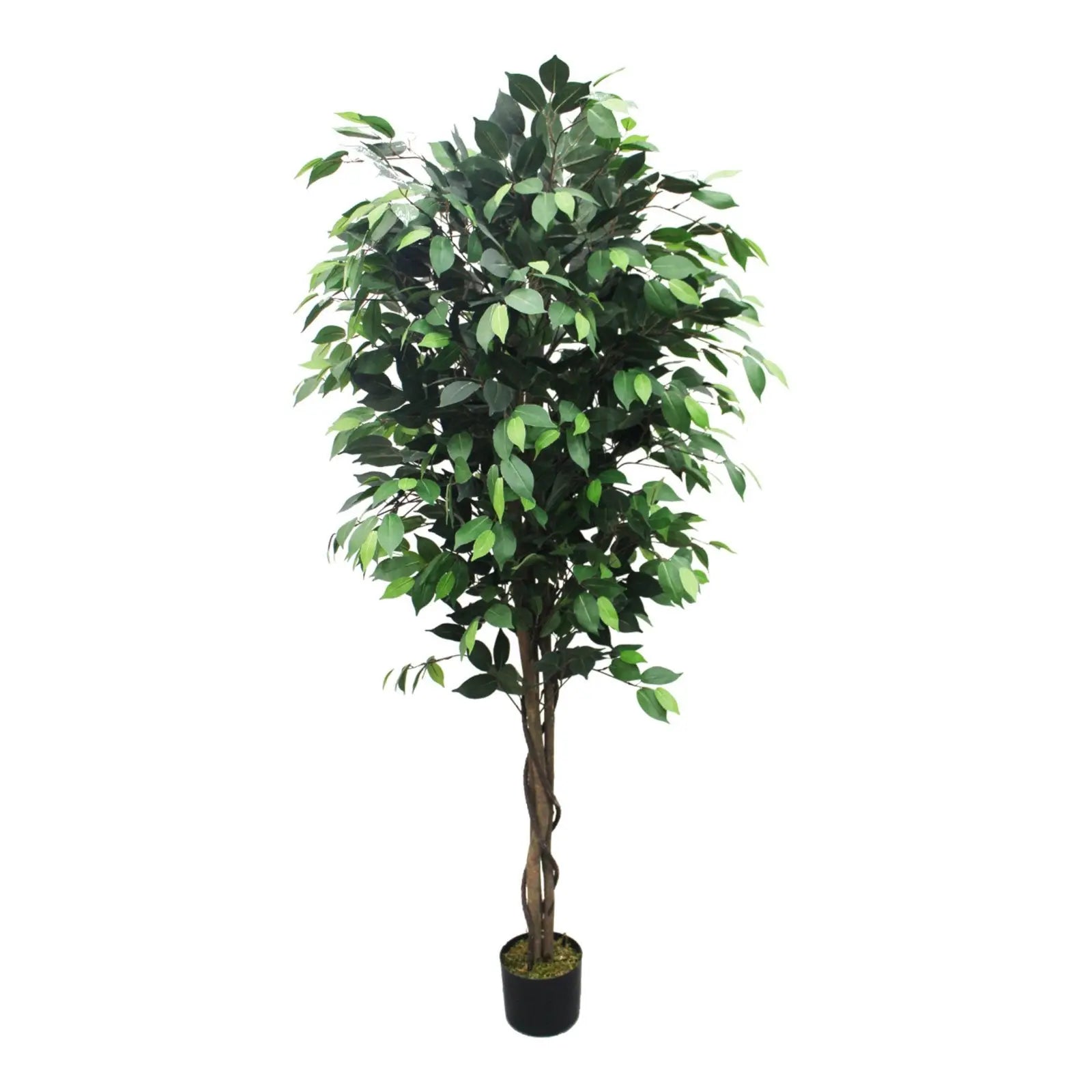 Artificial Ficus Tree | 180cm My Store