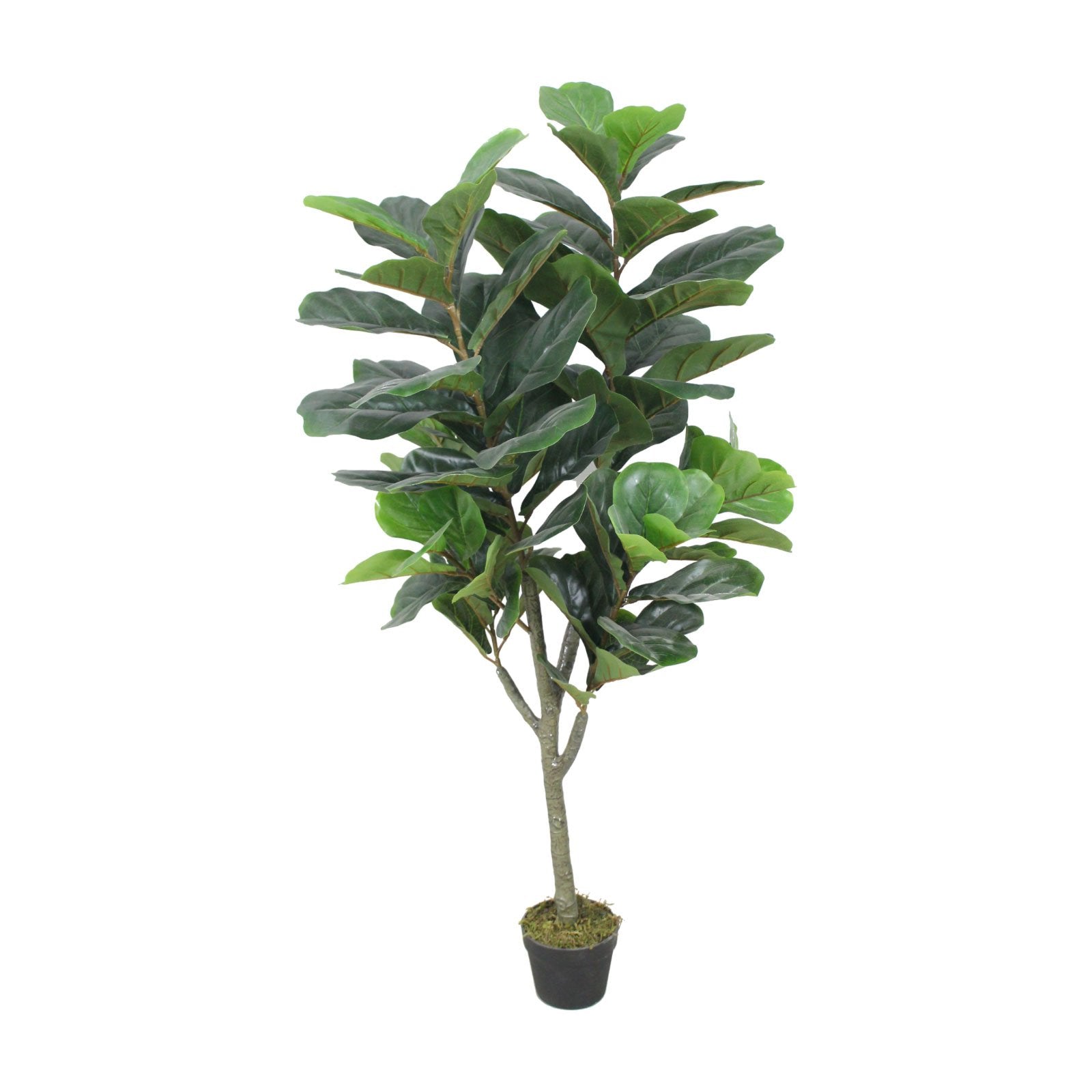 Fiddle Fig Artificial Plant With Basic Pot || 145 CM