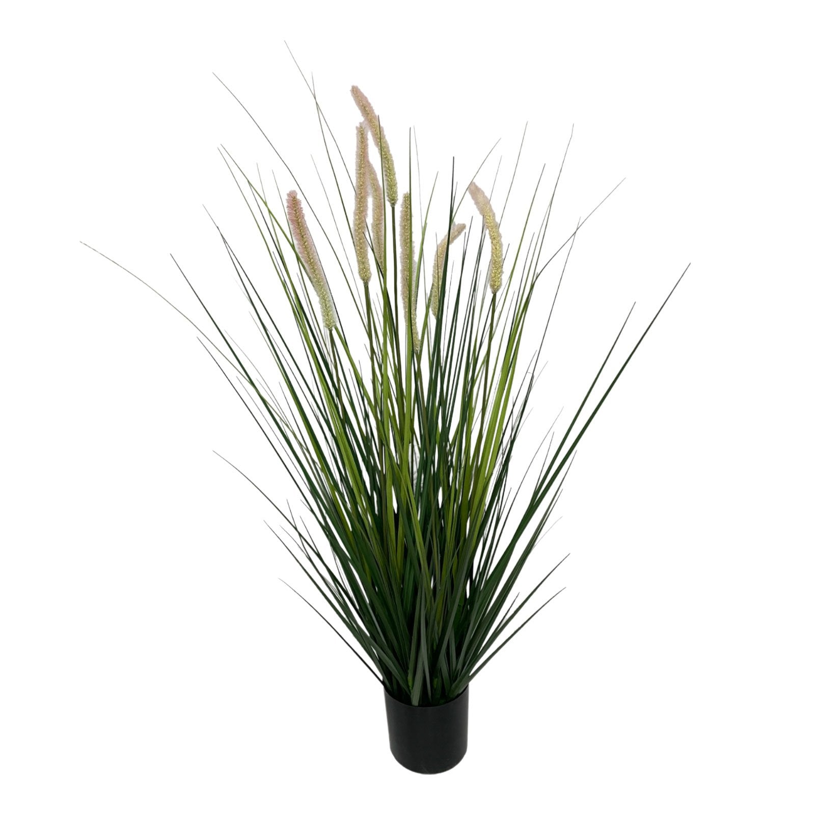 Onion grass with reeds