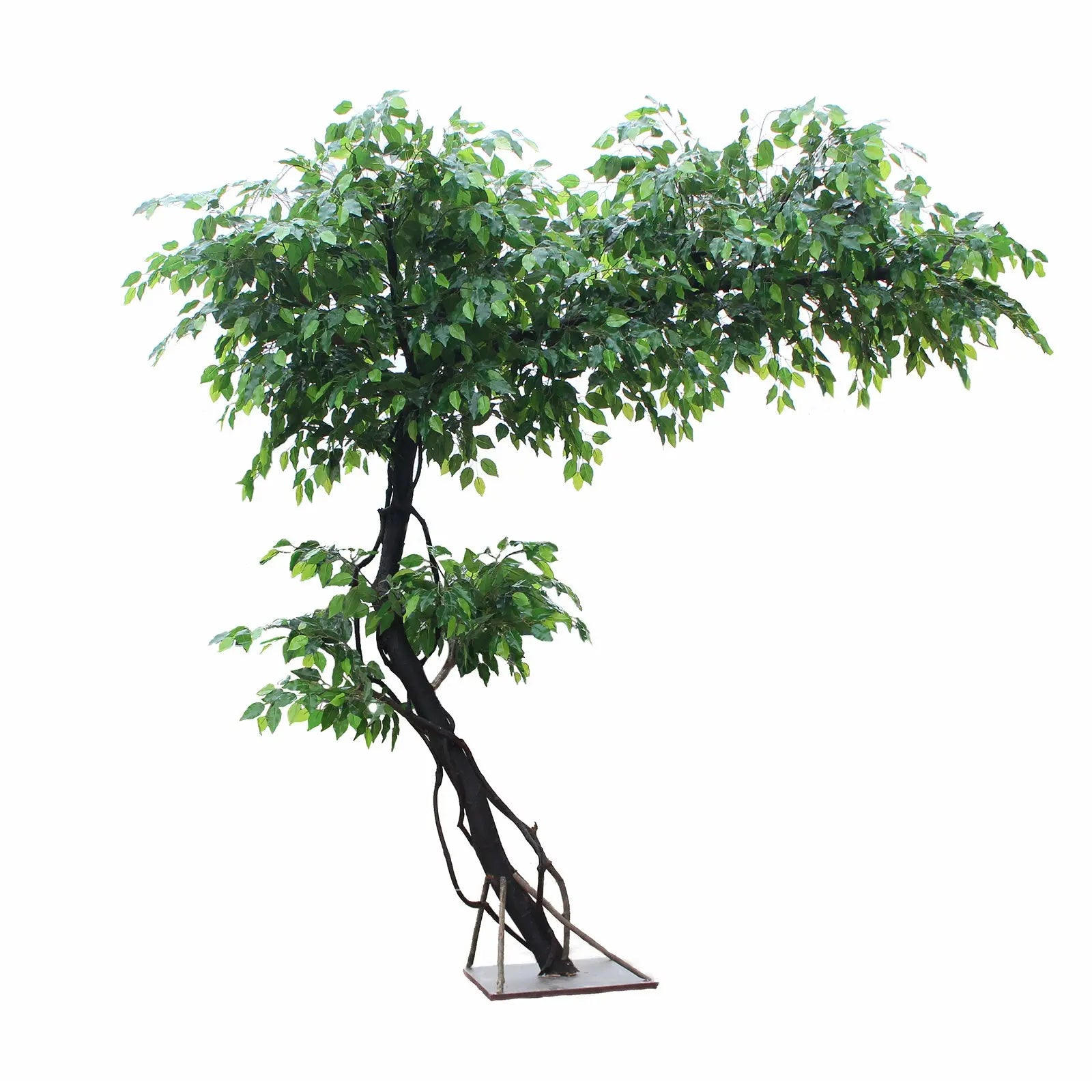 Tall Artificial Ficus Tree – 250 CM | Indoor Greenery Enutrof Decor