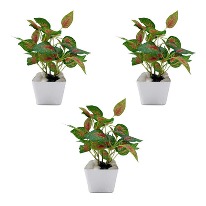 Aglaonema Plant Real Touch Artificial Plant With Basic Pot (Pack of 3) || Size: 40 Cm Size || Color: Green My Store