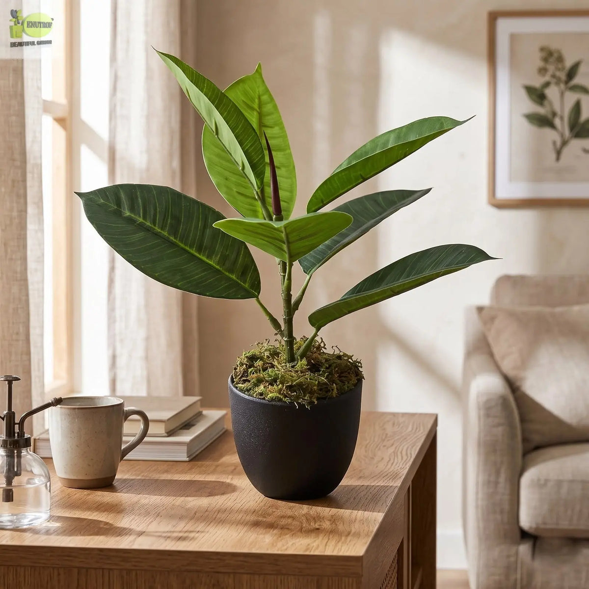 Rubber Real Touch Artificial Plants (30 cm) Enutrof Decor