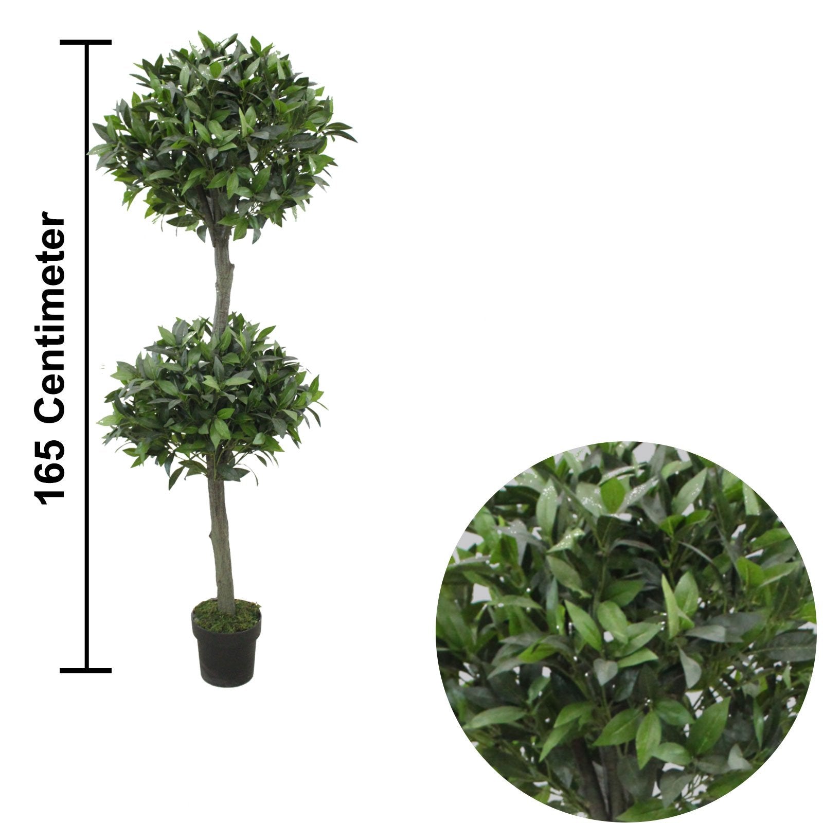 Topiary Bay Tree With Basic Black Pot