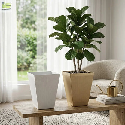 Striped Square Basin Planter Enutrof Decor