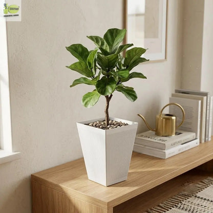 Striped Square Basin Planter Enutrof Decor