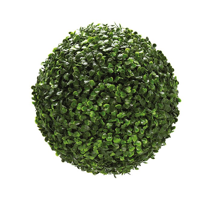 Boxwood (Green)