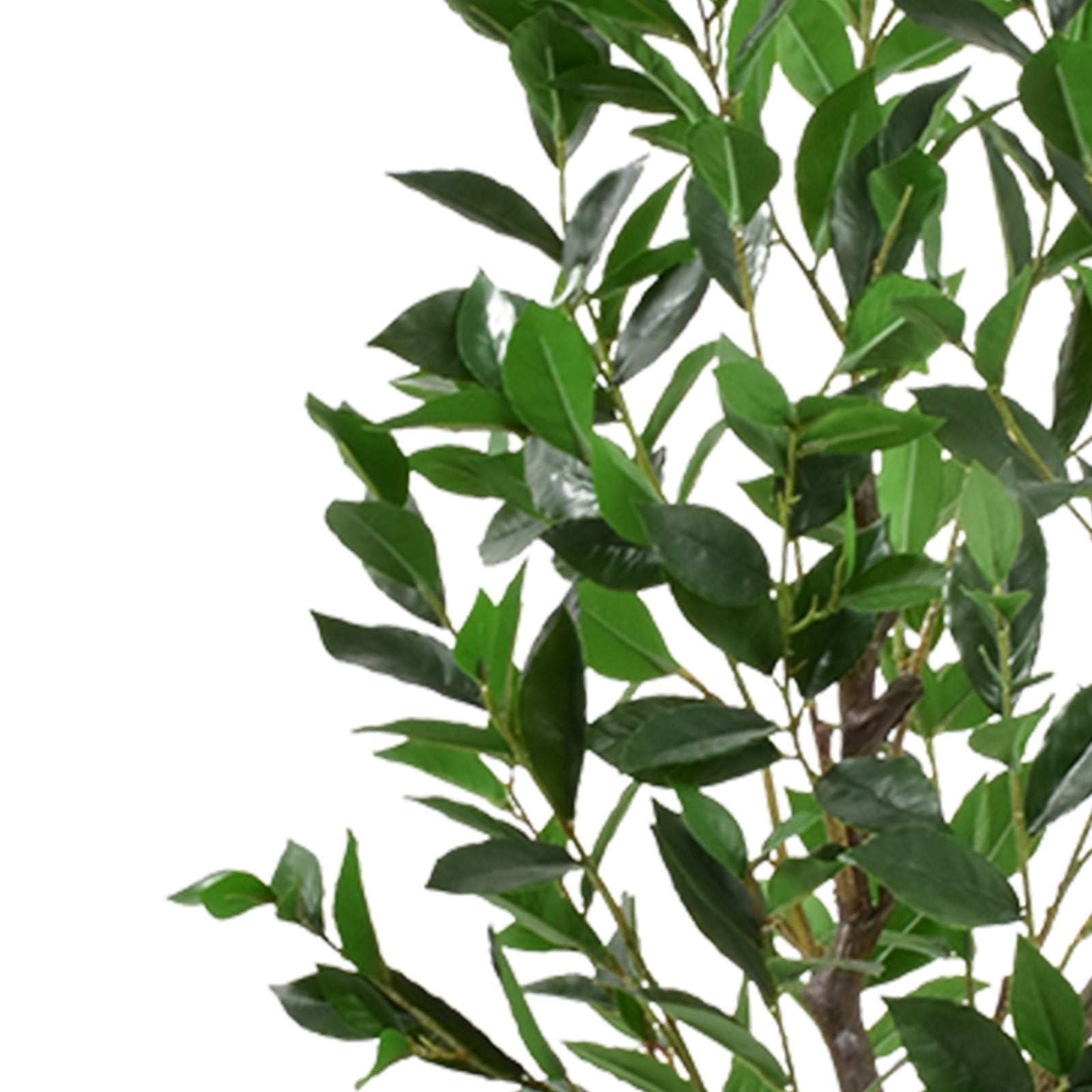 Laurel Artificial plant (120 CM)