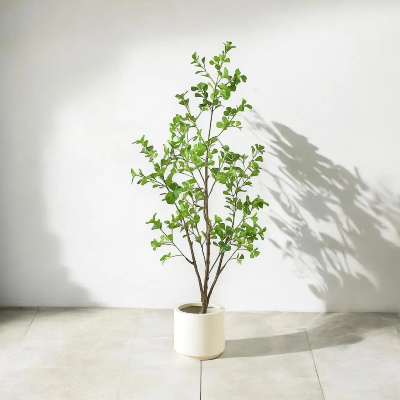 Artificial ficus tree(160 cm) My Store