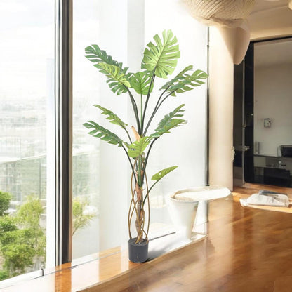 Monstera Tree (175 cm)