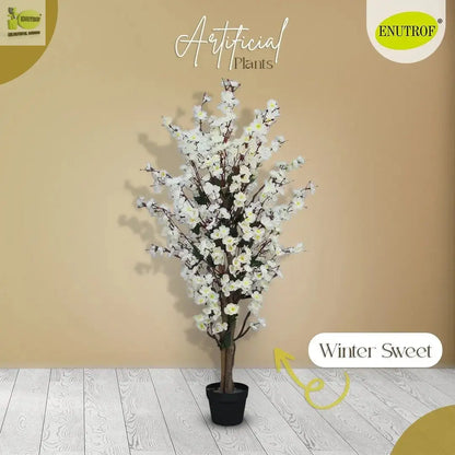 Winter Sweet Artificial Plant (120 cm) with White Planter My Store