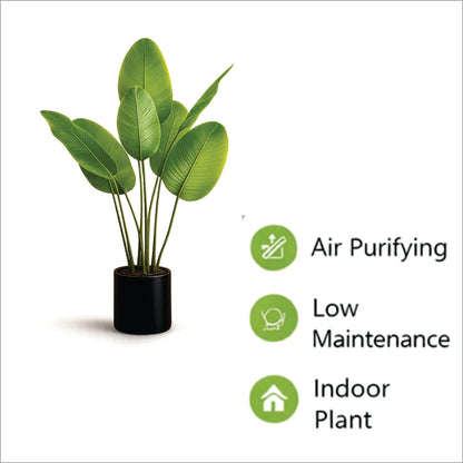 ENUTROF Artificial Bird of Paradise Plant – 120cm Fake Strelitzia for Living Room Decor ENUTROF