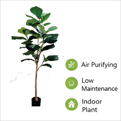 ENUTROF Artificial Fiddle Leaf Fig Ficus Lyrata – 155cm Premium Fake Plant for Designer Home Decor ENUTROF