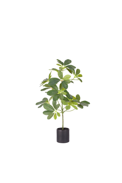 ENUTROF Artificial Small Plant 50cm – Realistic Fake Potted Plant for Desk Home Decor ENUTROF