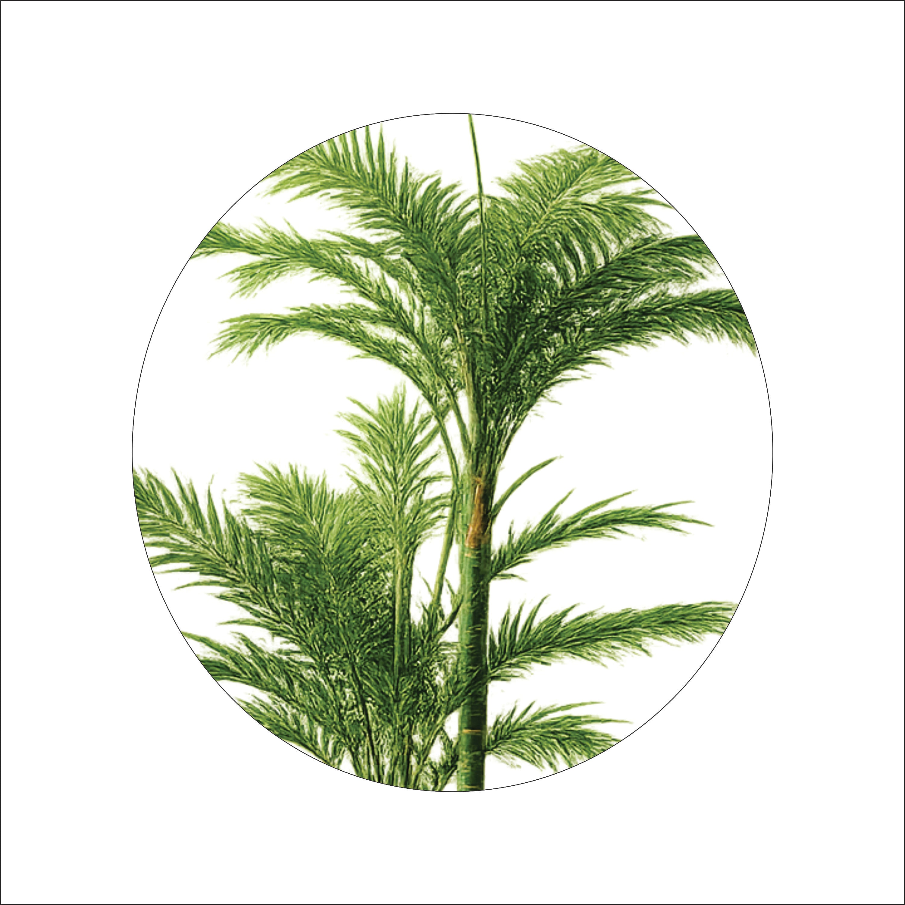 ENUTROF Artificial Areca Palm Plant – 140cm Fake Tropical Indoor Palm for Home & Hotel Decor ENUTROF