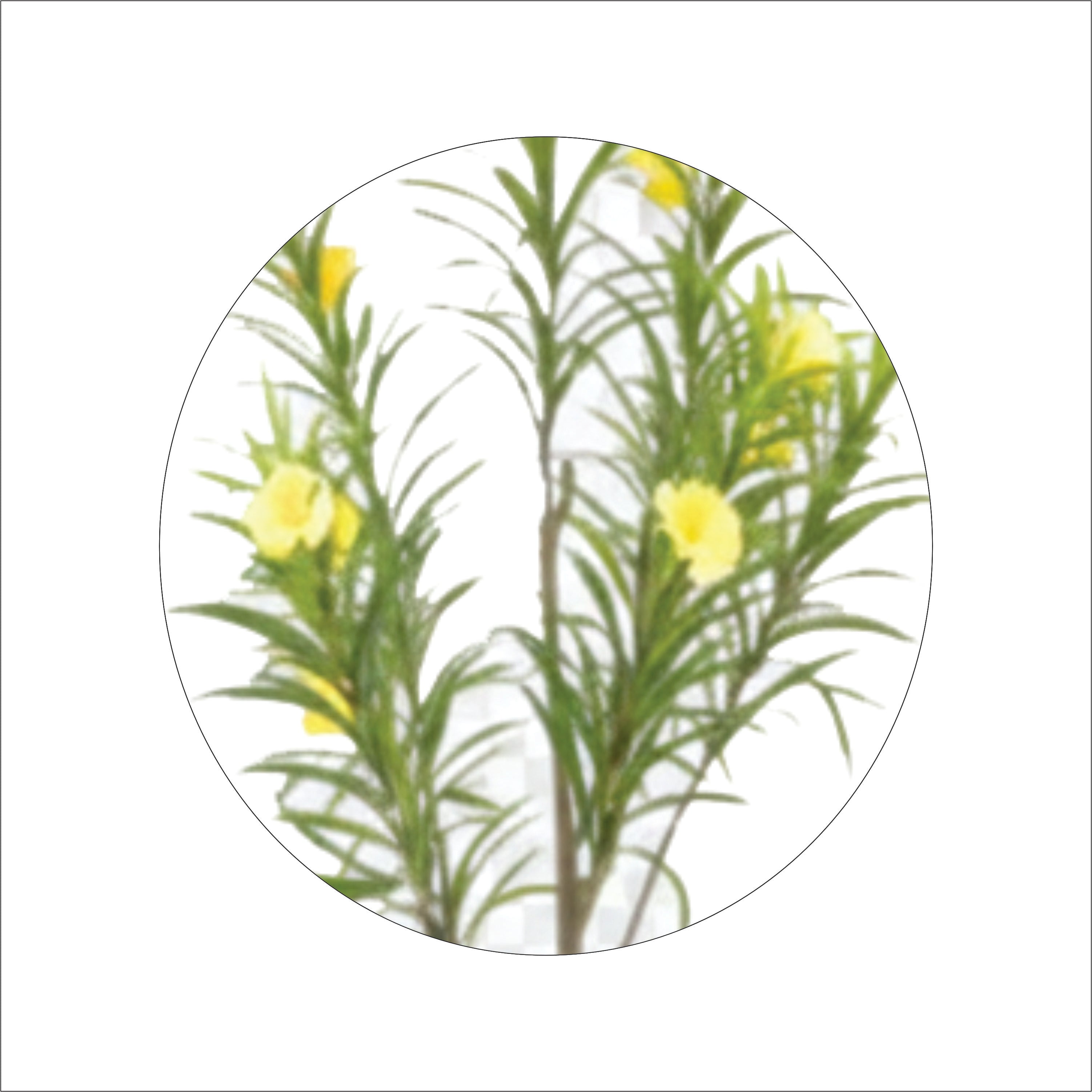 ENUTROF Artificial Yellow Flowering Oleander Tree – 120cm Fake Blooming Plant for Home Decor ENUTROF