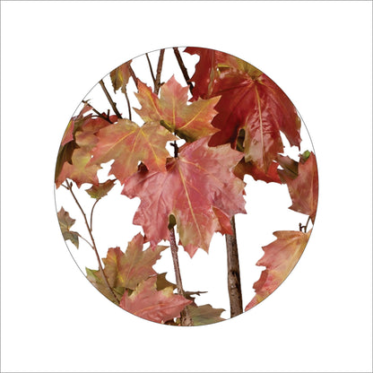 ENUTROF Artificial Autumn Maple Tree – 150cm Dramatic Red-Orange Fake Plant for Home Decor ENUTROF