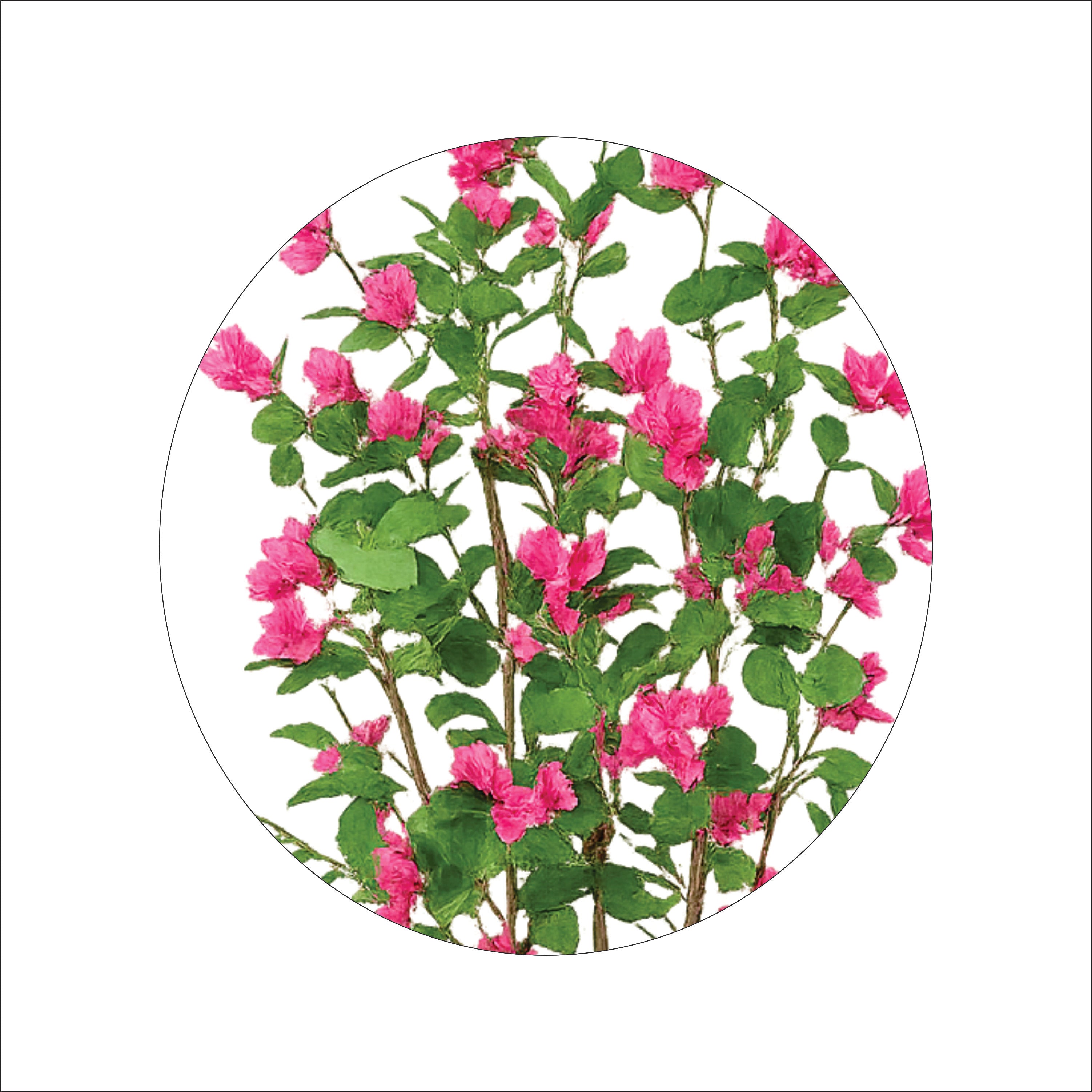 ENUTROF Artificial Pink Bougainvillea Tree – 150cm Lush Fake Flowering Plant for Home & Events ENUTROF