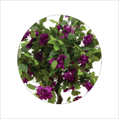 ENUTROF Artificial Purple Bougainvillea Bonsai Tree – 120cm Fake Flowering Plant for Home Decor ENUTROF