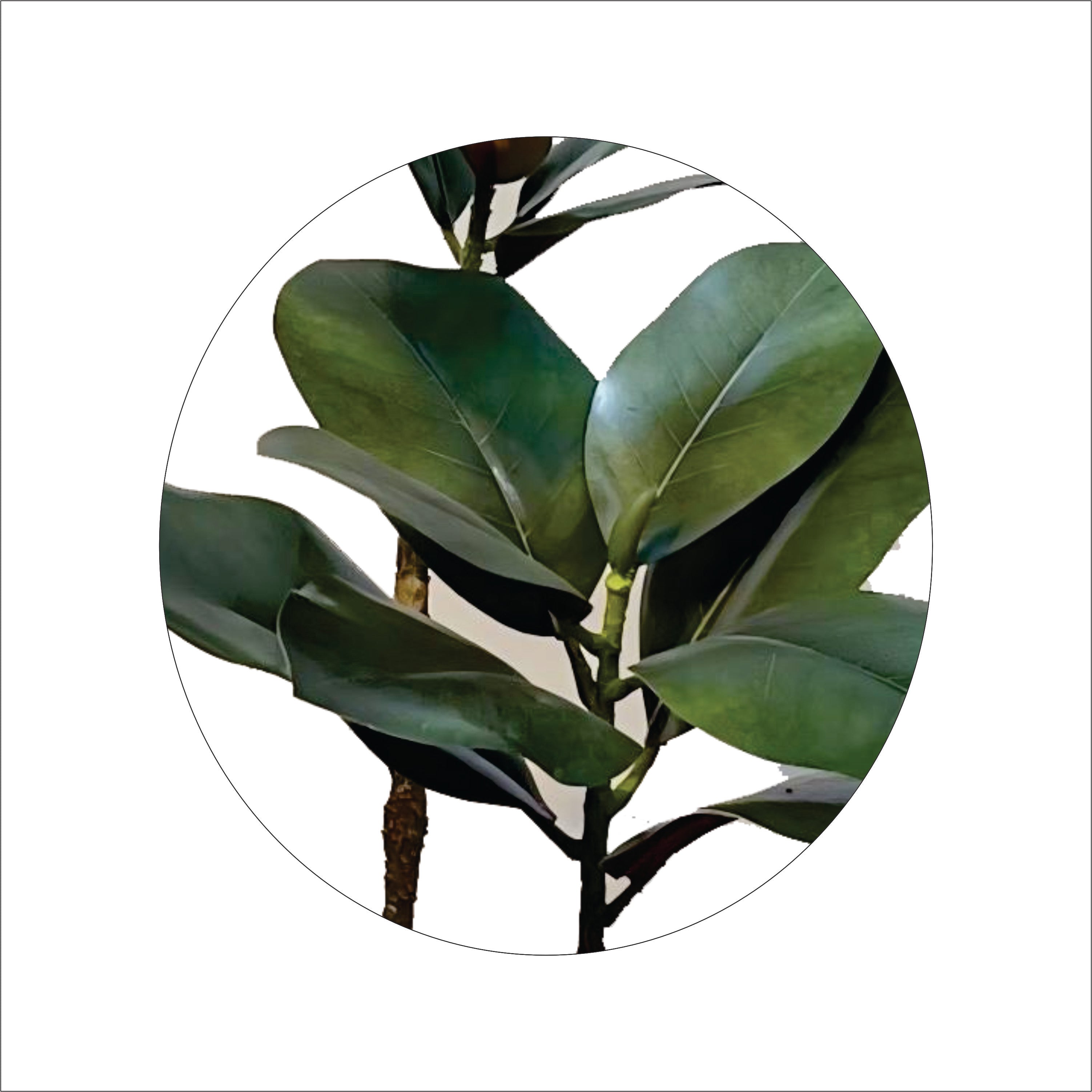 ENUTROF Artificial Rubber Tree Dark Leaf – 120cm Ficus Elastica Fake Plant for Modern Decor ENUTROF