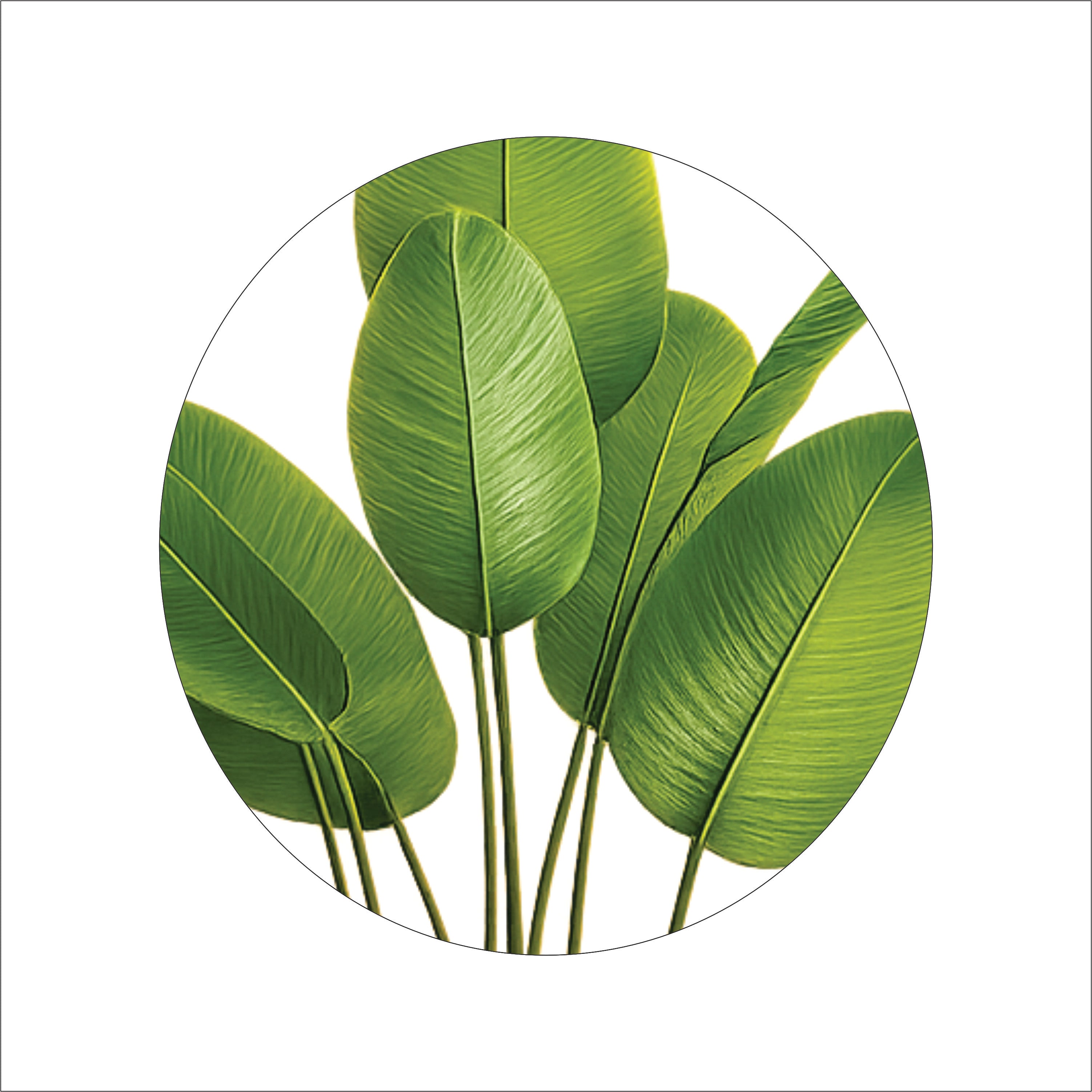 ENUTROF Artificial Bird of Paradise Plant – 120cm Fake Strelitzia for Living Room Decor ENUTROF