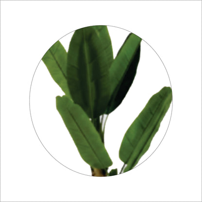 ENUTROF Artificial Banana Plant Musa – 130cm Fake Tropical Plant for Home & Office Decor ENUTROF