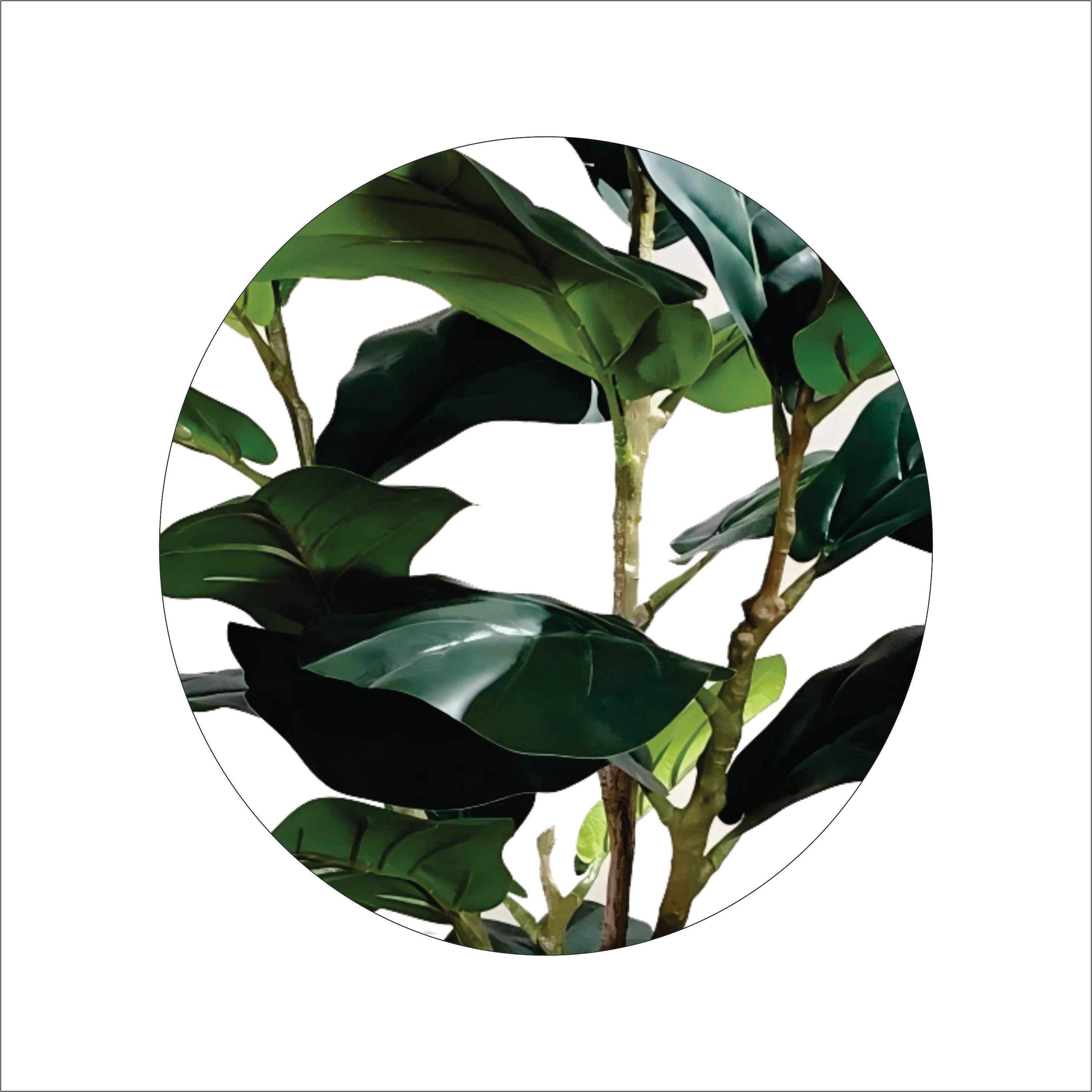 ENUTROF Artificial Fiddle Leaf Fig Ficus Lyrata – 155cm Premium Fake Plant for Designer Home Decor ENUTROF