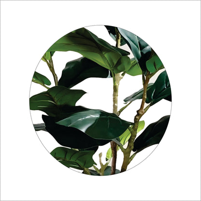 ENUTROF Artificial Fiddle Leaf Fig Ficus Lyrata – 155cm Premium Fake Plant for Designer Home Decor ENUTROF