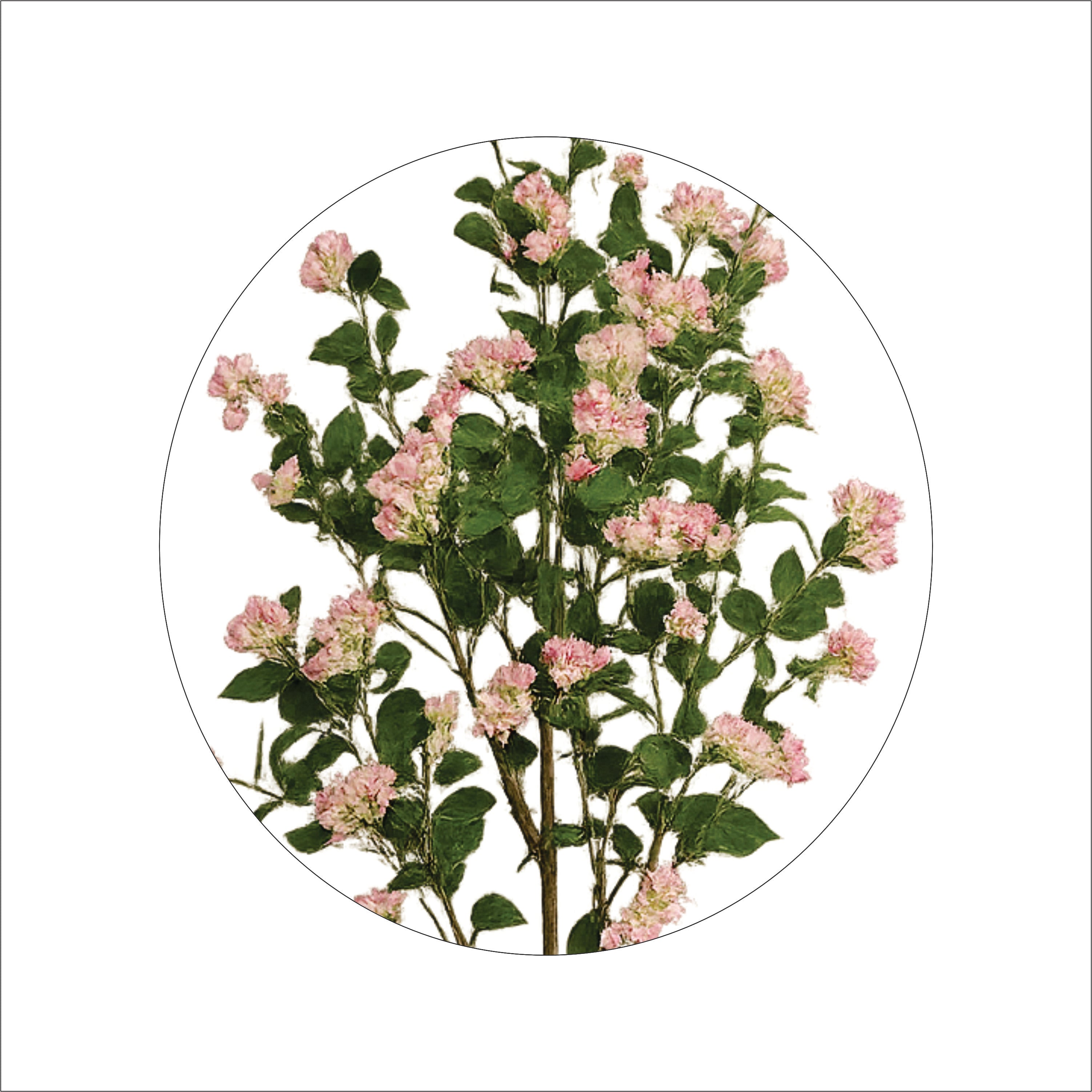 ENUTROF Artificial Pink Cherry Blossom Tree – 150cm Sakura Fake Plant with Ceramic Pot ENUTROF