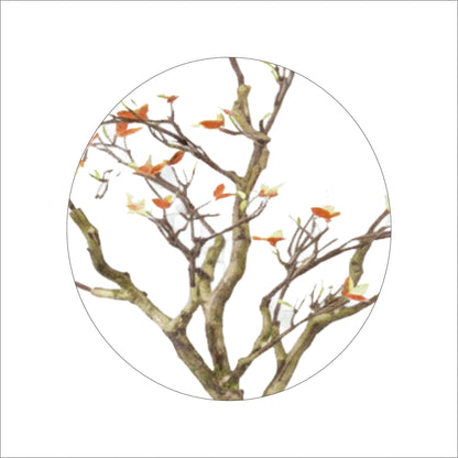 ENUTROF Artificial Cherry Blossom Bare Branch Tree – 120cm Fake Sakura Plant for Home Decor ENUTROF